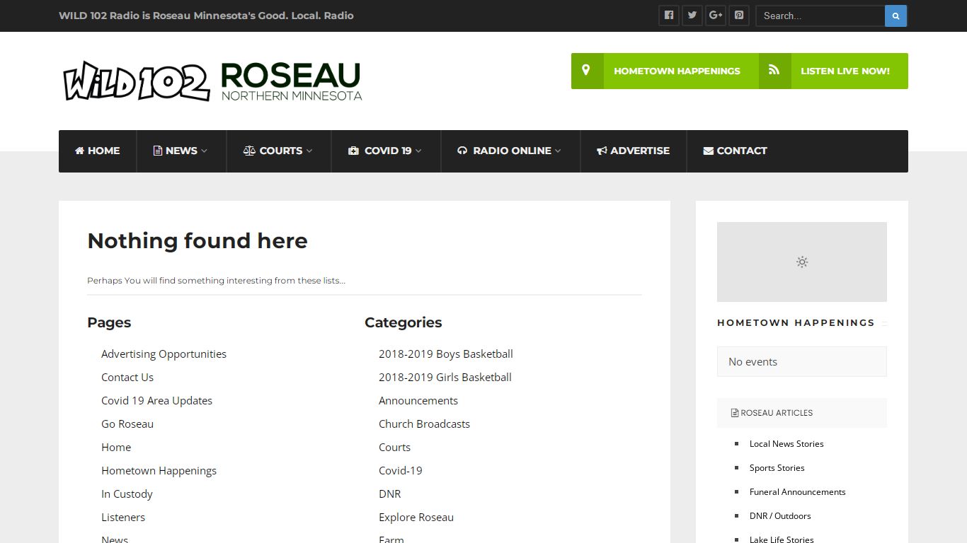 Custody - Roseau County Online